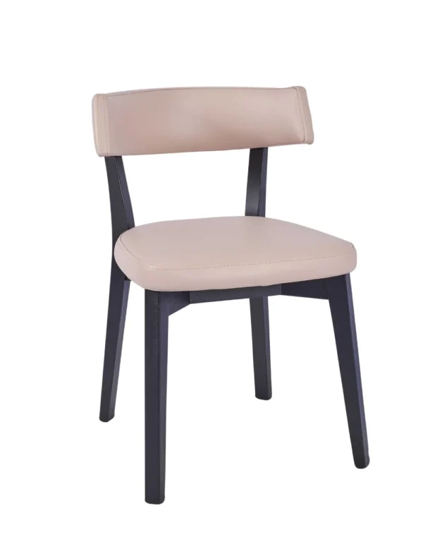 Christa Side Chair - Stone / Black Frame