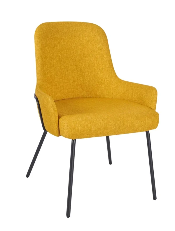 Camden Side Chair - Black Tube Frame RFU