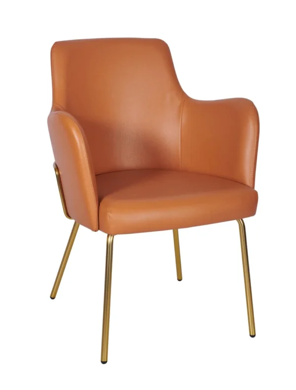Camden Armchair - Brass Tube Frame RFU