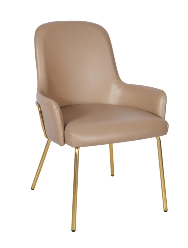 Camden Side Chair - Brass Tube Frame RFU