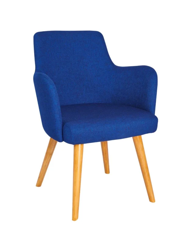 Camden Armchair - Lacquered Legs RFU / RFU